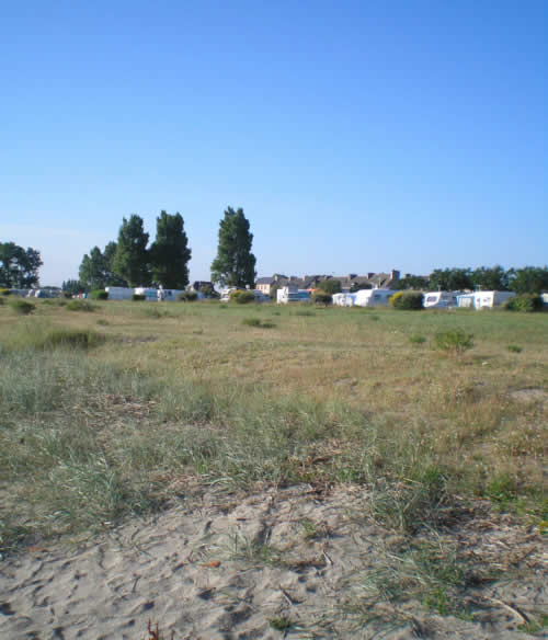 Camping municipal #11